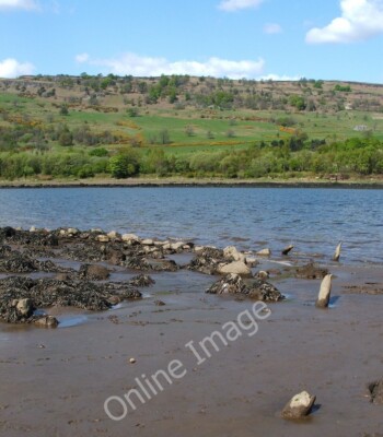 Foto 6x4 Erskine Crannog: Reste von Holzpfählen erweitern die Endnote für c2010