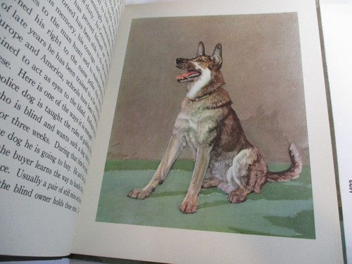 THE DOG BOOK, Albert Payson Terhune, Diana Thorne, DJ, Saalfield, 1st, 1932 - Picture 10 of 12
