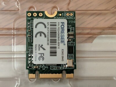 2230 M.2 SSD FORESEE FE2H0M064G-B5X10 E2M2 64GB | eBay
