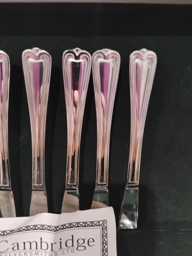 Vintage In Box Cambridge Silversmiths Chatham Pattern 30 Pieces Assts Flatware - Picture 3 of 12