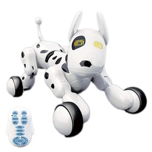 remote control dog toy