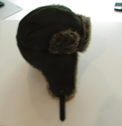 Picture 10 of 10