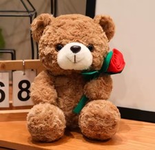 Valentine's Day Teddy Bear