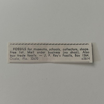 JF Ray's Fossils For Museums Schools Collectors Shops  Ocala FL 1973 Ad SAI4-S88