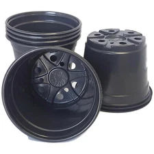 6 inch Round Black Plastic Pots - SET OF 50 - Landmark pot Nursery
