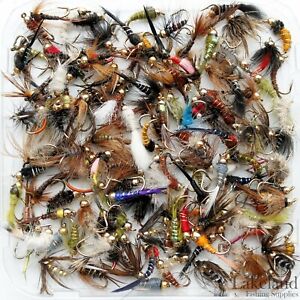 nymphs flies fly fishing head gold assorted trout mixed