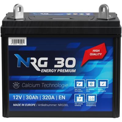 Starterbatterie 30Ah Aufsitzmäher Rasentraktor Rasenmäher Batterie Verschlossen