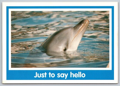 インベーダー/HELLO MY GAME IS...(post card) Hello My Game Is by Invader Background & Meaning | MyArtBroker