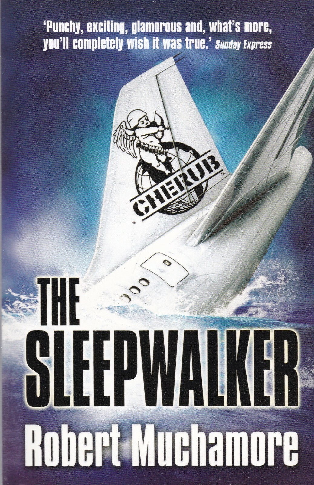 The Sleepwalker Robert Muchamore Book New (Paperback)