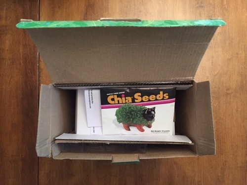 THE GOLDEN GIRLS SOPHIA CHIA PET DECORATIVE PLANTER New in Box - Picture 8 of 8