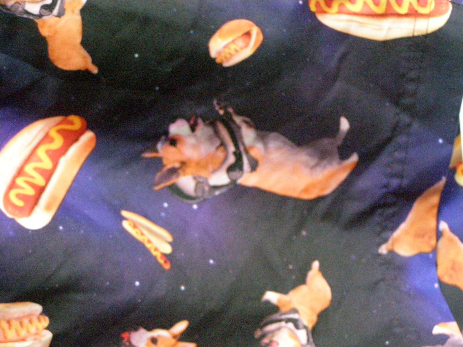 NWT Walnut and 39th HOT DOGS AND DOGS Swim Trunks size MED eBay