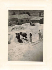 JOLIE PHOTO ANCIENNE 1949 ESPAGNE SANTO DOMINGO DE SILOS UNA TRILLA
