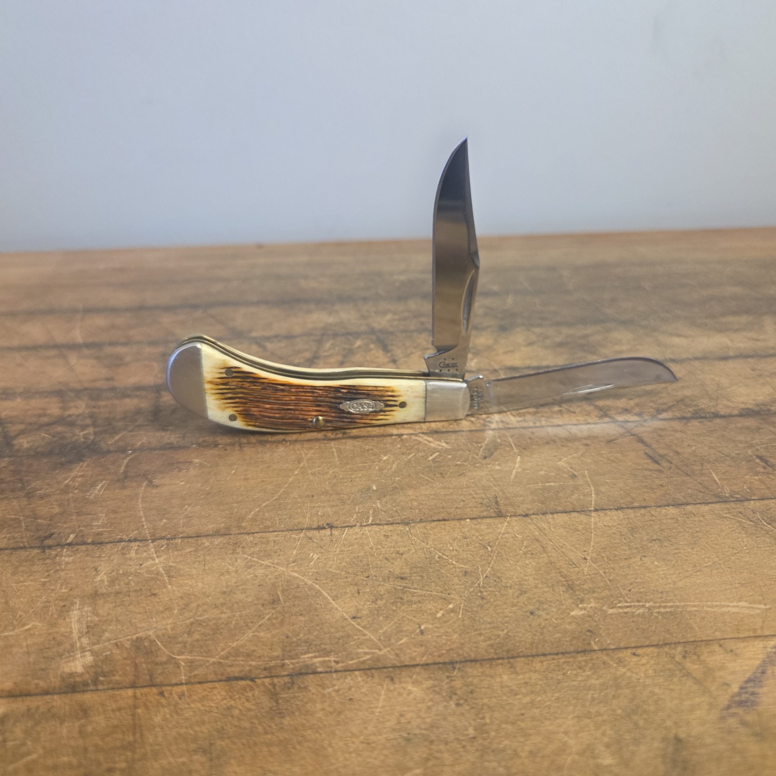 Case XX,Tony Bose TB62110-SS Saddlehorn Knife w/bone bell