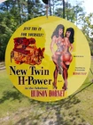 Vintage Porcelain HUDSON HORNET WASP NEW TWIN H-POWER Metal Sign,Dated: USA 1952