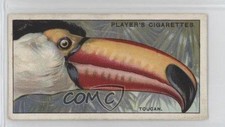 1929 Player's Curious Beaks Tobacco Toucan #49 0l4h