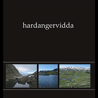 ILDJARN - NIDHOGG - HARDANGERVIDDA I GREEN VINYL - Vinyl Record - G72z