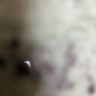 Bild 7 von 12