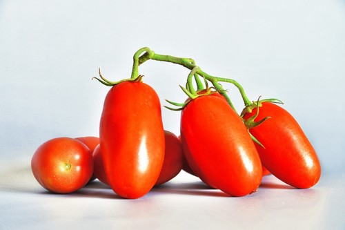 Tomato 'SAN MARZANO' 15+ Seeds HEIRLOOM fruit EASY summer vegetable garden ROMA - Picture 5 of 8