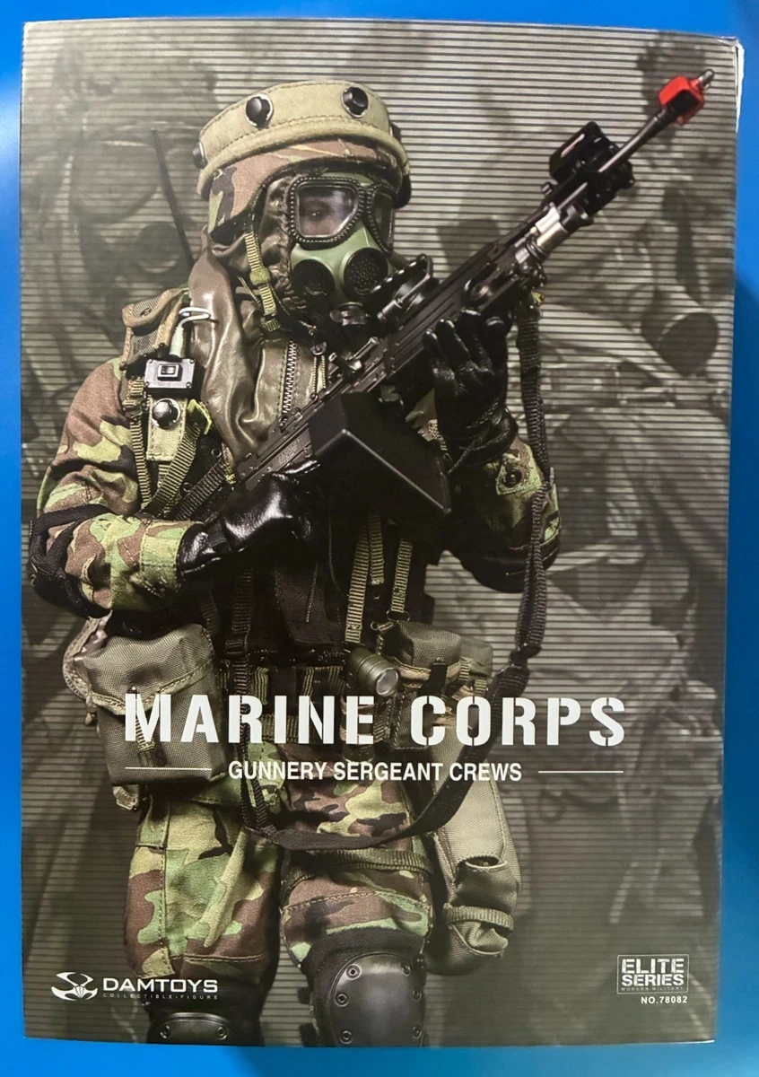 Preços baixos em DAMTOYS 1:6 figuras de ação militares e de