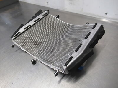 Kawasaki 2018-2020 Ninja Radiator 39060-0734 OEM for sale online 