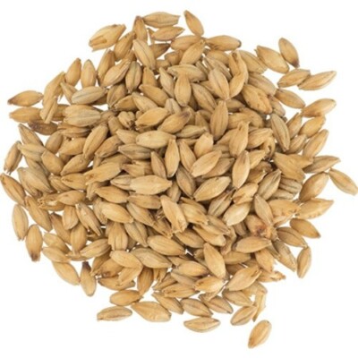55 Lb - Maris Otter Pale Ale Malt - Bairds Malt - Beer Brewing Base Grain