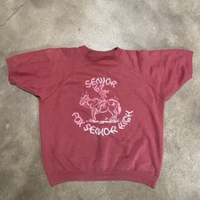 Vintage 1960s Sweatshirt Short Sleeve Crewneck Flocked Felt Print High School