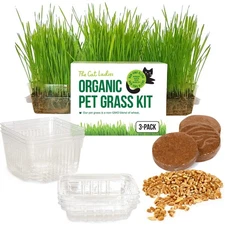 Cat Grass for Indoor Cats - Growing Kit - Organic Cat Grass Seeds, Soil and B...