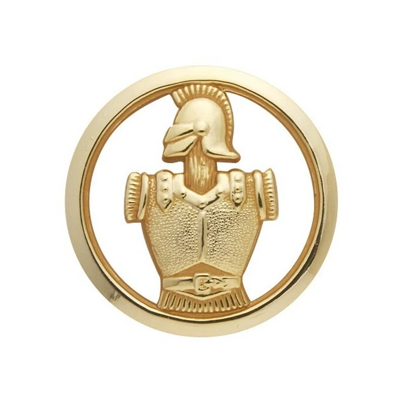 INSIGNE DE BERET DU GENIE DORE ARMEE DE TERRE MILITAIRE COLLECTION