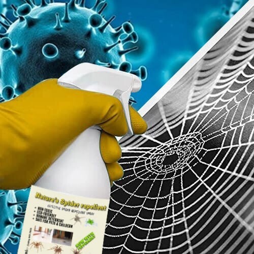Batuutah Spider Repellent Killer Spray Non-Toxic Natural Long-Lasting Treatment - Picture 4 of 14