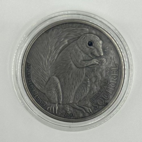 Animal Coin Commemorative Coins Medals -Squirrel - Picture 6 of 9