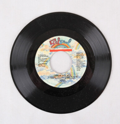 12' Logg – I Know You Will Logg - I Know You Will (A Larry Levan 12
