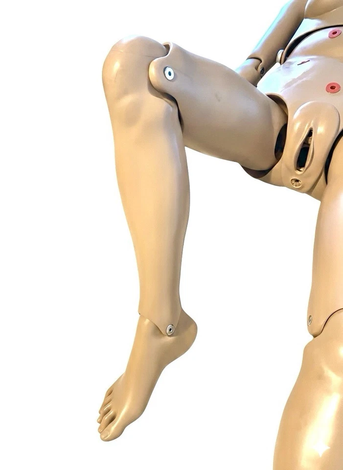 Gaumard Simple Susie S206 simulador de cuidados de enfermagem paciente manequim treinamento médico - Imagem 3 de 4