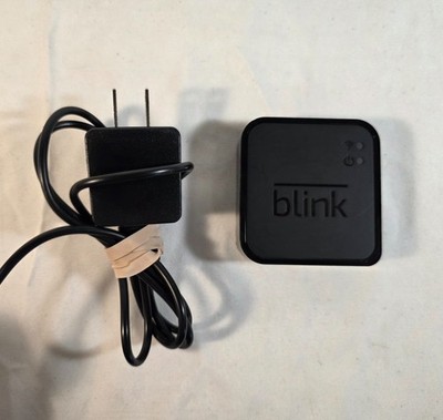 Blink Sync Module model BSM00203U Untested