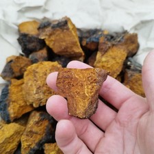 Natural Chaga Mushroom Pieces - Organic Herbal Tea Ingredient - 900g