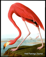 Pink Flamingo 8x10 Journal/Diary/Notebook 200 Ruled Blank Pages Record Daily