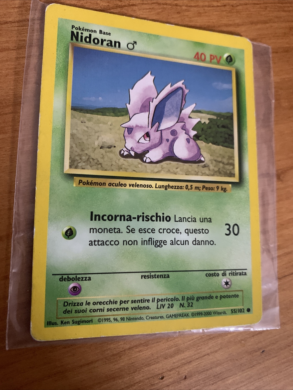 Foto 7 di 8