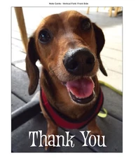 Dachshund Thank You Card Animal Rescue Scrappy Dizzle Designz - Size 5.5 X 4