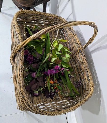 Wicker Trug'Flower Basket'1900-1910 English Original Condition Rare Prop Display - Picture 24 of 24