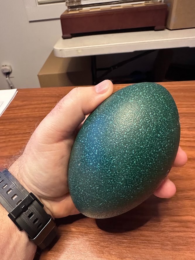 FERTILE EMU EGGS (2) - PROVEN BREEDERS MIXED DNA - SHIPS VIA PRIORITY MAIL