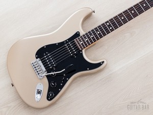 Big Apple Stratocaster | eBay