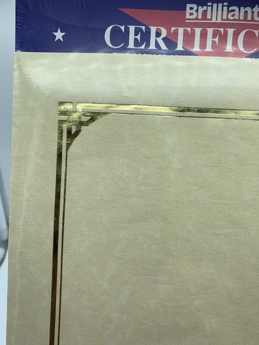 10 Brilliant BLANK AWARD CERTIFICATES GOLD BORDER READY PRINTER SEALED PACKAGE - Afbeelding 2 van 6