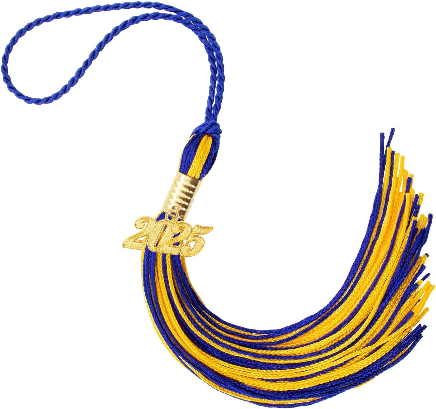 2025 Graduation Tassel,2025 Graduation Cap Tassels,2025 Tassel with 2025 Year Go