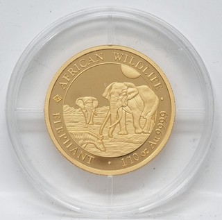 Somalia 100 Shilling 2026 Elefant 1/10 Unze Gold