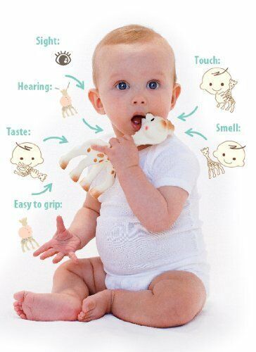 Sophie The Giraffe La Baby Natural Rubber Teether Pacifier Squeaker Vulli Opened - Bild 5 von 7