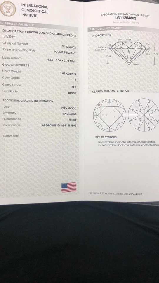 IGI Certificate 1.01ct Brilliant Round Lab-created Diamond F Color SI2 Clarity - Image 2 of 2