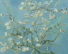 Vincent van Gogh Almond Blossom Fine Art Giclee | 8x10 | 11x14 | 16x20