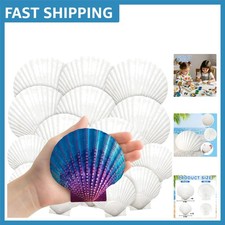 Large Natural Scallop Shells 2''-5'' : Ideal for Summer Decor DIY Crafts