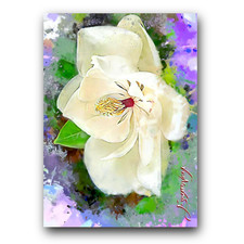 Magnolia Art Card Limited 22/50 Edward Vela Signed (- -)