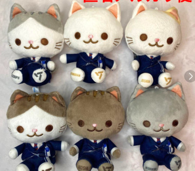 seventeen ANIMAL COORDY ぬいぐるみ【全13種セット】 セブチ ANIMAL COORDY ミニぬいぐるみ DREAM 全13種セット