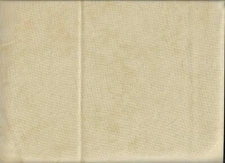 PRIMITIVE MUSLIN BY PRIMITIVE GATHERINGS FOR MODA,BY THE YARD.